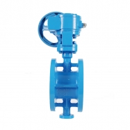 Butterfly valve