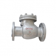 Check valve