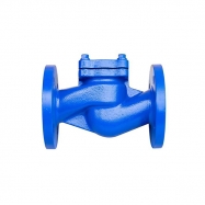 Check valve