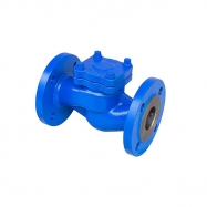 Check valve