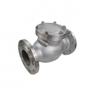 Check valve