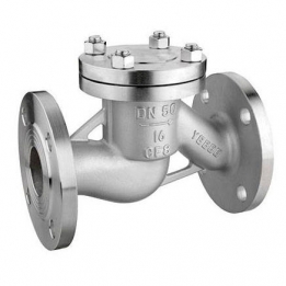 Check valve 